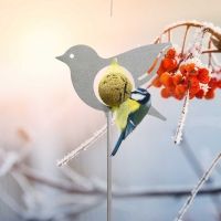 Meisenpicker Vogel, stehend