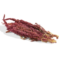 Amaranth, 30g